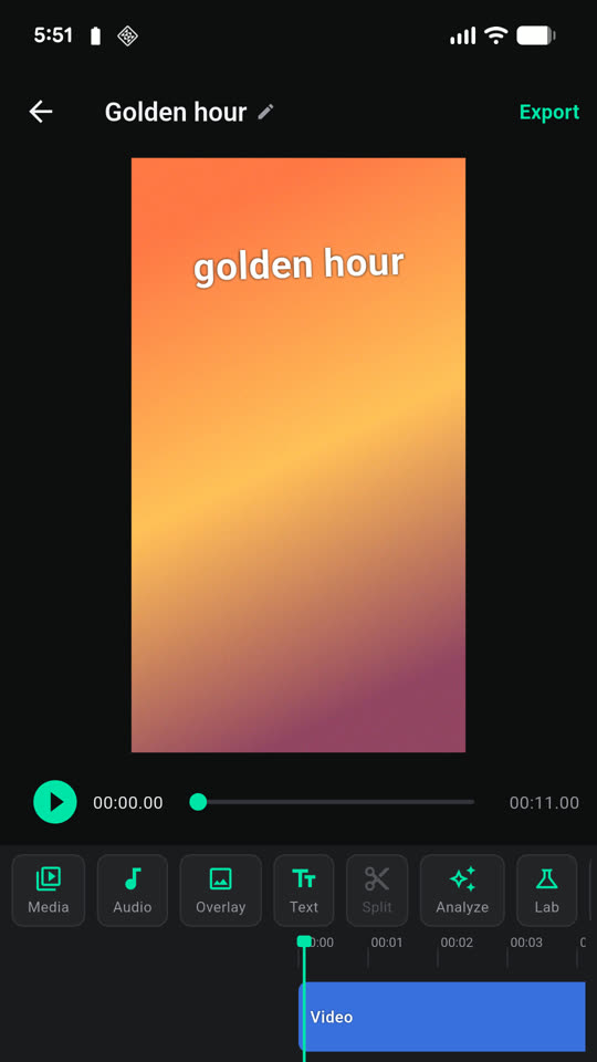 The Reeledit editor: a vertical video preview with a text overlay above a timeline of video and overlay tracks.
